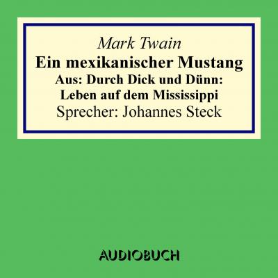 Ein mexikanischer Mustang - Aus: Durch Dick und Dünn: Leben auf dem Mississippi - Mark Twain 