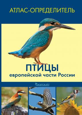 Птицы европейской части России - Коллектив авторов 