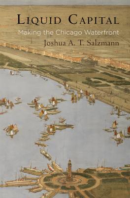 Liquid Capital - Joshua A. T. Salzmann American Business, Politics, and Society