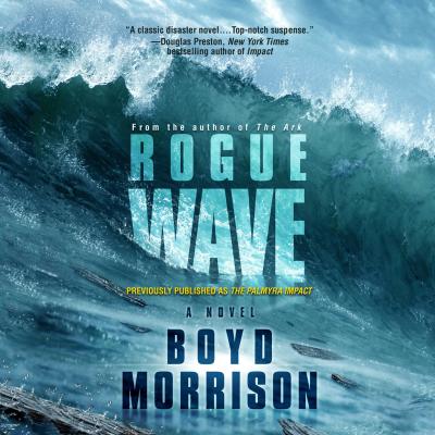 Rogue Wave (Unabridged) - Boyd  Morrison 