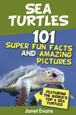 Sea Turtles : 101 Super Fun Facts And Amazing Pictures (Featuring The World's Top 6 Sea Turtles) - Janet Evans 