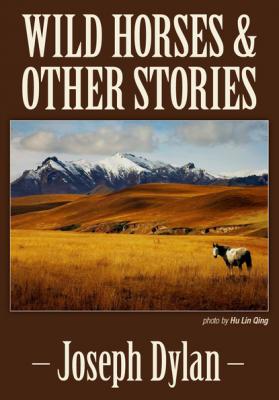 Wild Horses and Other Stories - Joseph Dylan 