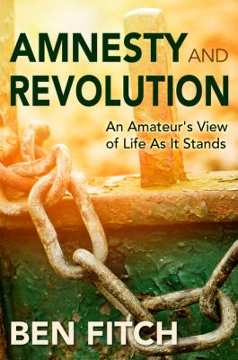 Amnesty and Revolution: An Amateur's View of Life As It Stands - Ben Fitch 