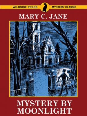 Mystery by Moonlight - Mary C. Jane 