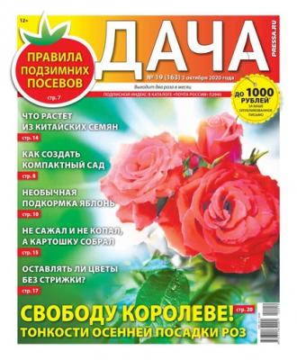 Дача Pressa.ru 19-2020 - Редакция газеты Дача Pressa.ru Редакция газеты Дача Pressa.ru