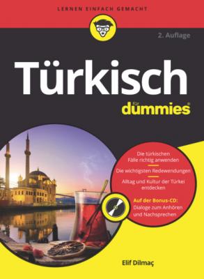 Türkisch für Dummies - Elif Dilmaç 