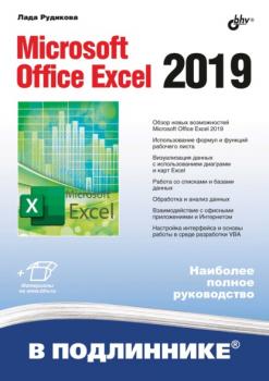 Скачать Microsoft Office Excel 2019 - Лада Рудикова