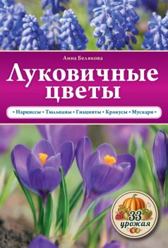 Скачать Луковичные цветы - Анна Белякова