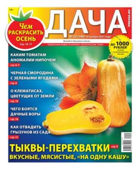 Скачать Дача Pressa.ru 22-2021 - Редакция газеты Дача Pressa.ru