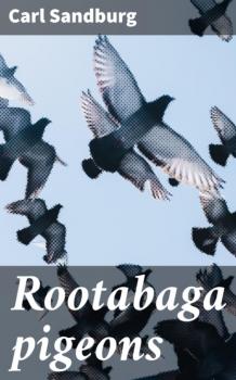 Скачать Rootabaga pigeons - Carl Sandburg Sandburg