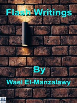 Скачать Flash Writings - Wael El-Manzalawy