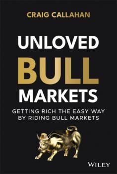 Скачать Unloved Bull Markets - Craig Callahan