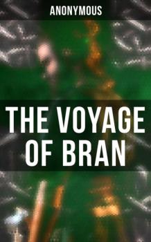Скачать The Voyage of Bran - Anonymous