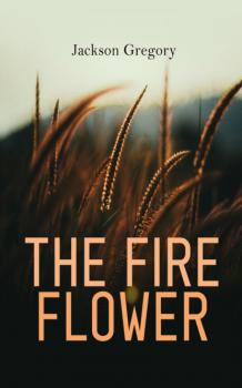 Скачать The Fire Flower - Jackson Gregory