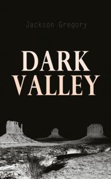 Скачать Dark Valley - Jackson Gregory