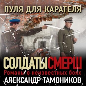 Скачать Пуля для карателя - Александр Тамоников