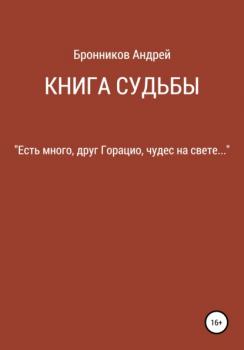 Скачать Книга судьбы - Андрей Бронников