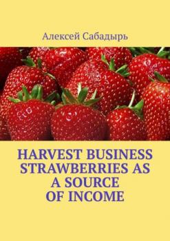 Скачать Harvest Business Strawberries as a Source of Income - Алексей Сабадырь