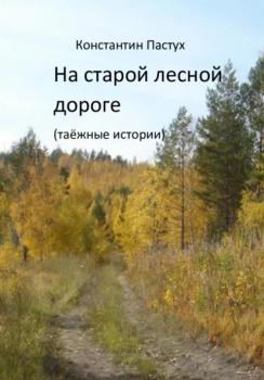 Скачать На старой лесной дороге - Константин Пастух