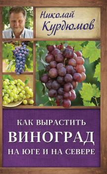 Скачать Как вырастить виноград на Юге и на Севере - Николай Курдюмов
