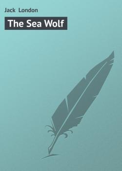 Скачать The Sea Wolf - Jack  London