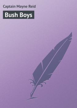 Скачать Bush Boys - Captain Mayne Reid
