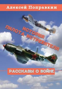 Скачать История пилота истребителя (сборник) - Алексей Поправкин