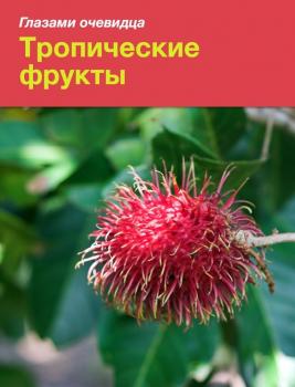 Скачать Тропические фрукты - Екатерина Пугачева
