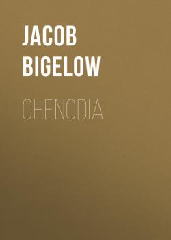 Скачать Chenodia - Jacob Bigelow
