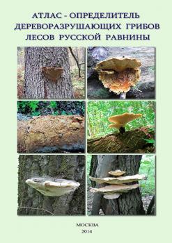 Скачать Атлас-определитель дереворазрушающих грибов лесов Русской равнины - В. Г. Стороженко