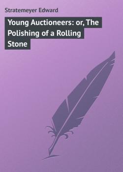 Скачать Young Auctioneers: or, The Polishing of a Rolling Stone - Stratemeyer Edward