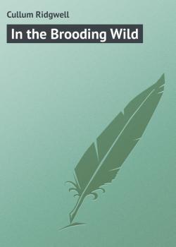 Скачать In the Brooding Wild - Cullum Ridgwell