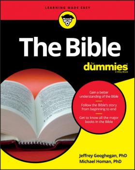 Скачать The Bible For Dummies - Jeffrey  Geoghegan