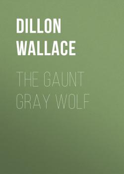 Скачать The Gaunt Gray Wolf - Dillon Wallace