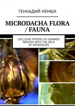 Скачать Microdacha flora / fauna. Exclusive photos of Gennady Nemykh with the help of microscope - Геннадий Немых