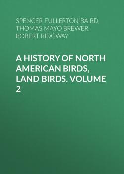 Скачать A History of North American Birds, Land Birds. Volume 2 - Robert Ridgway