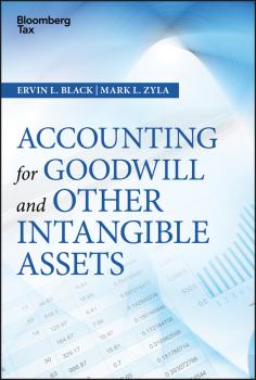 Скачать Accounting for Goodwill and Other Intangible Assets - Mark Zyla L.