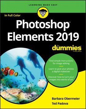 Скачать Photoshop Elements 2019 For Dummies - Barbara  Obermeier