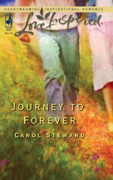 Скачать Journey To Forever - Carol  Steward