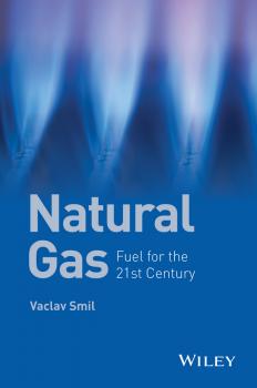 Скачать Natural Gas. Fuel for the 21st Century - Vaclav  Smil