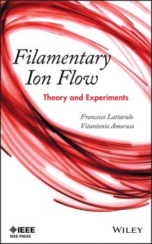 Скачать Filamentary Ion Flow. Theory and Experiments - Francesco  Lattarulo