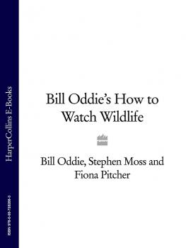 Скачать Bill Oddie’s How to Watch Wildlife - Stephen  Moss