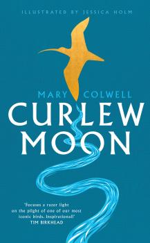 Скачать Curlew Moon - Mary  Colwell