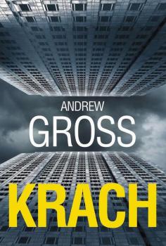 Скачать Krach - Andrew  Gross