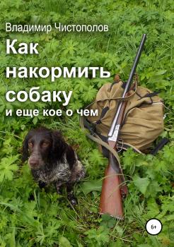 Скачать Как накормить собаку и еще кое о чем - Владимир Иванович Чистополов