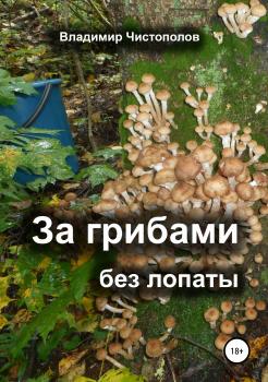 Скачать За грибами без лопаты - Владимир Иванович Чистополов