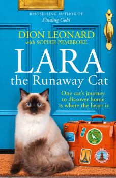 Скачать Lara The Runaway Cat: One cat’s journey to discover home is where the heart is - Sophie  Pembroke