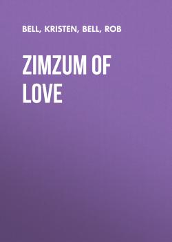 Скачать ZimZum of Love - Rob  Bell