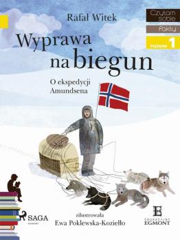Скачать Wyprawa na biegun - O ekspedycji Amundsena - Rafał Witek