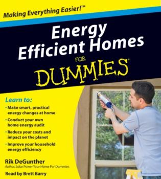 Скачать Energy Efficient Homes for Dummies - Rik  DeGunther